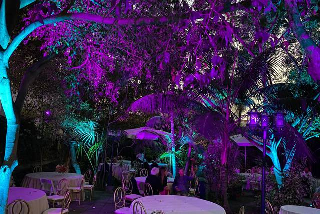 Iluminación de la naturaleza de La Finca Medina. Con esta estampa, tus eventos son aún más especiales