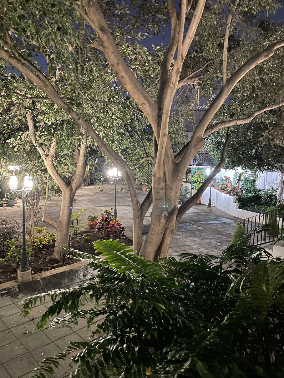 Iluminación de uno de los espacios de noche. Listo para estos eventos que no necesitan luz del sol