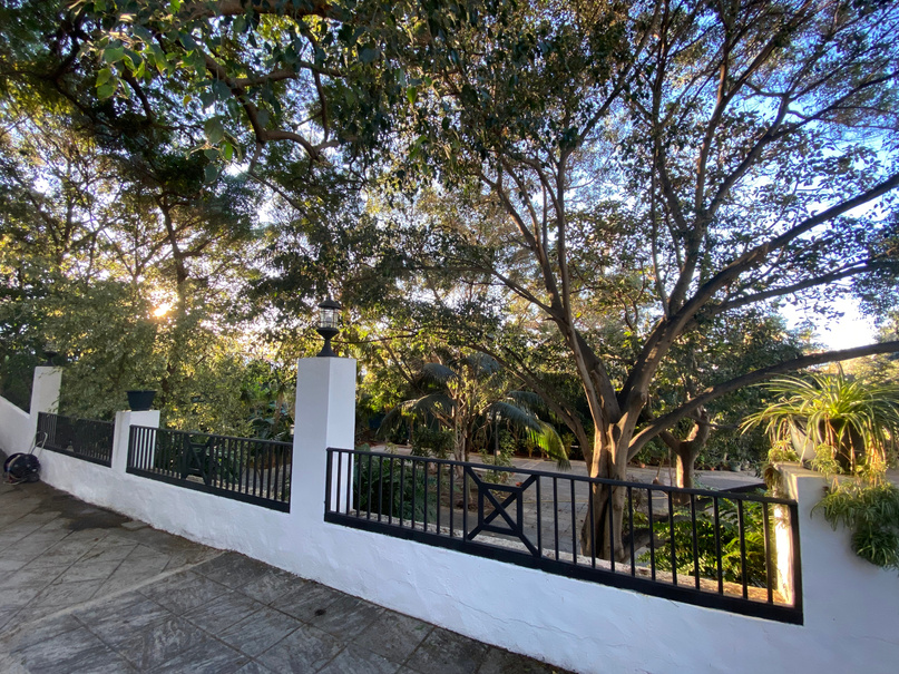 Arboles que proporcionan sombra para los eventos de día