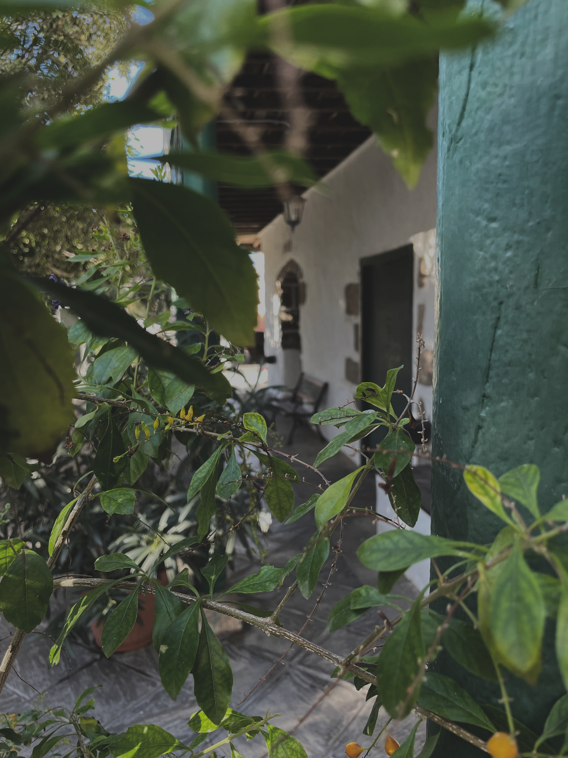 Portada La Finca Medina