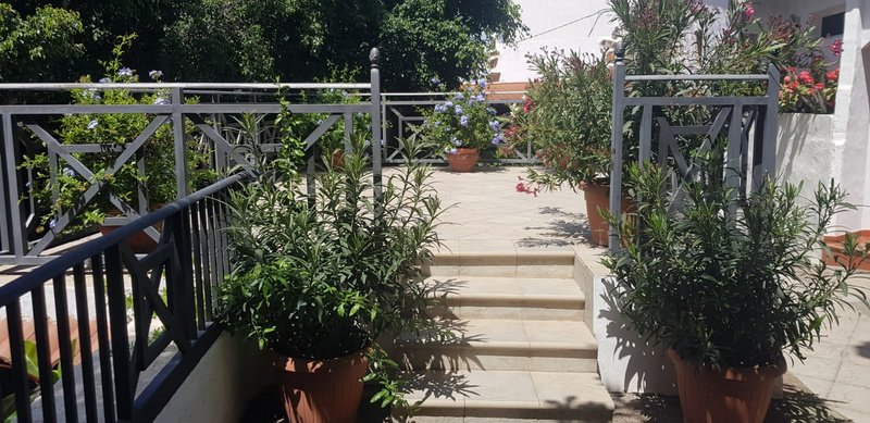 Detalles de la naturaleza que nos podemos encontrar. Las plantas son una parte especial en La Finca Medina